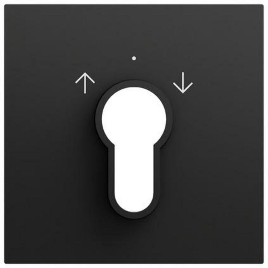 Afdekking sleutelschakelaar /-drukcontact System 70 zwart m(gel.)