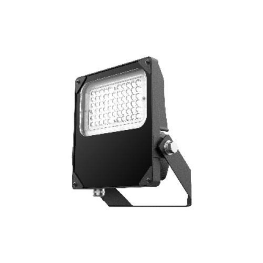 Pro-Flood 50W zwart 6250 Lm 4000K Ra 70 Asym 41060741