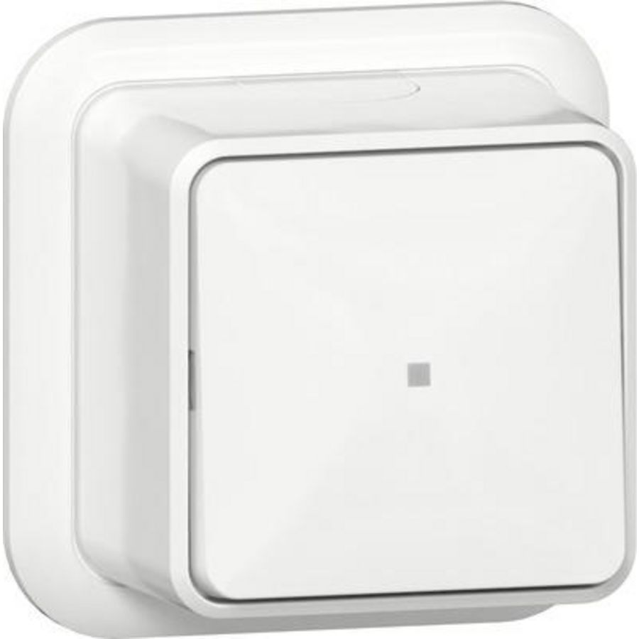 Wipcontroleschakelaar uit 2-p + K/P Opbouw zuiver wit