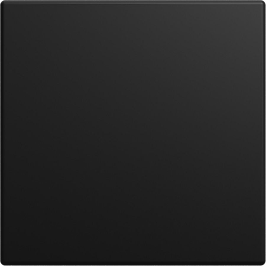 Infoline cpl blind SI-B-matzwart (1576 C-915)