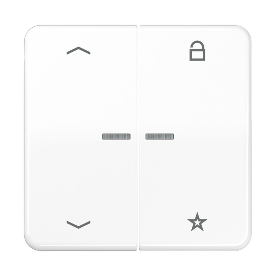 Tastafdekking pijlen CD500 alp.wit eNet