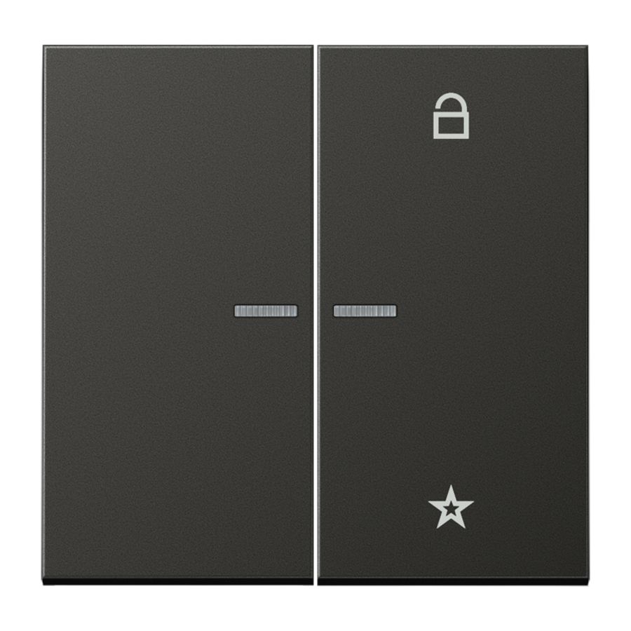 Tastafdekking LS-antraciet eNet