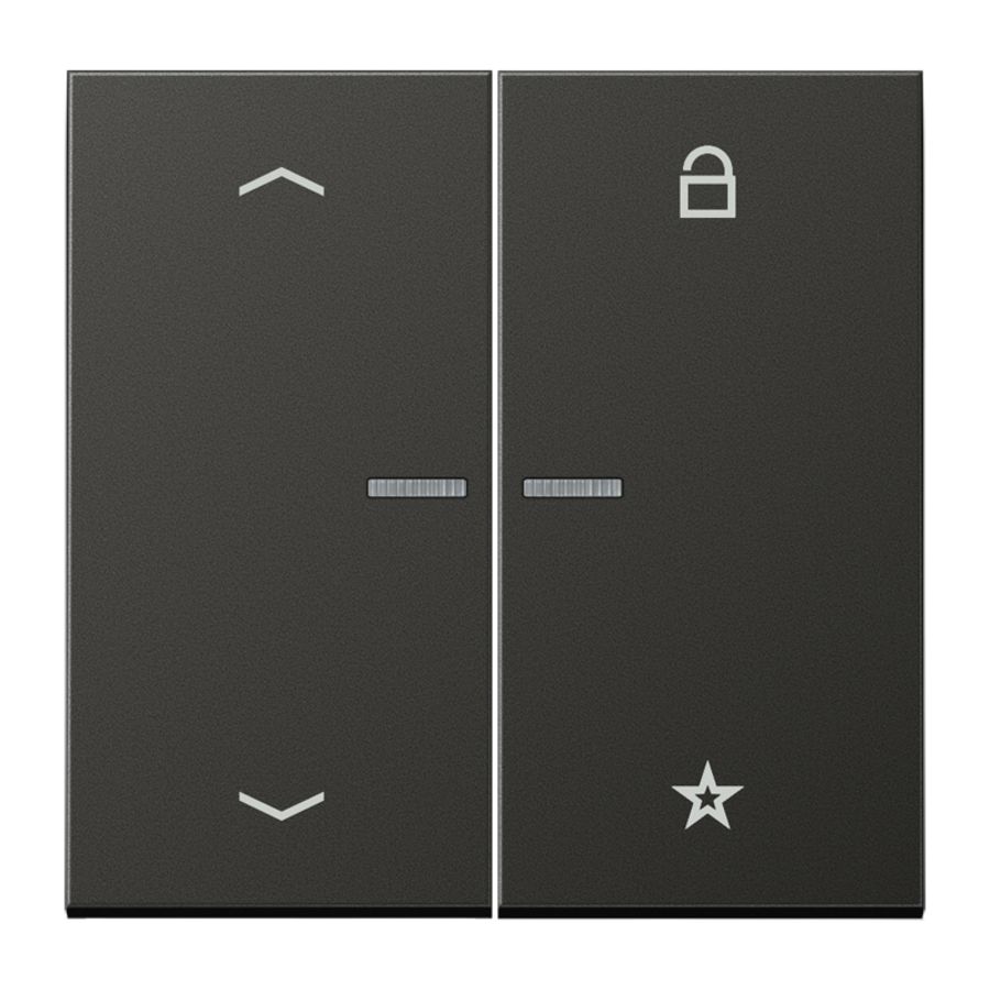 Tastafdekking pijlen LS-antraciet eNet