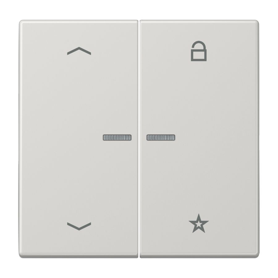 Tastafdekking pijlen LS990 licht grijs eNet