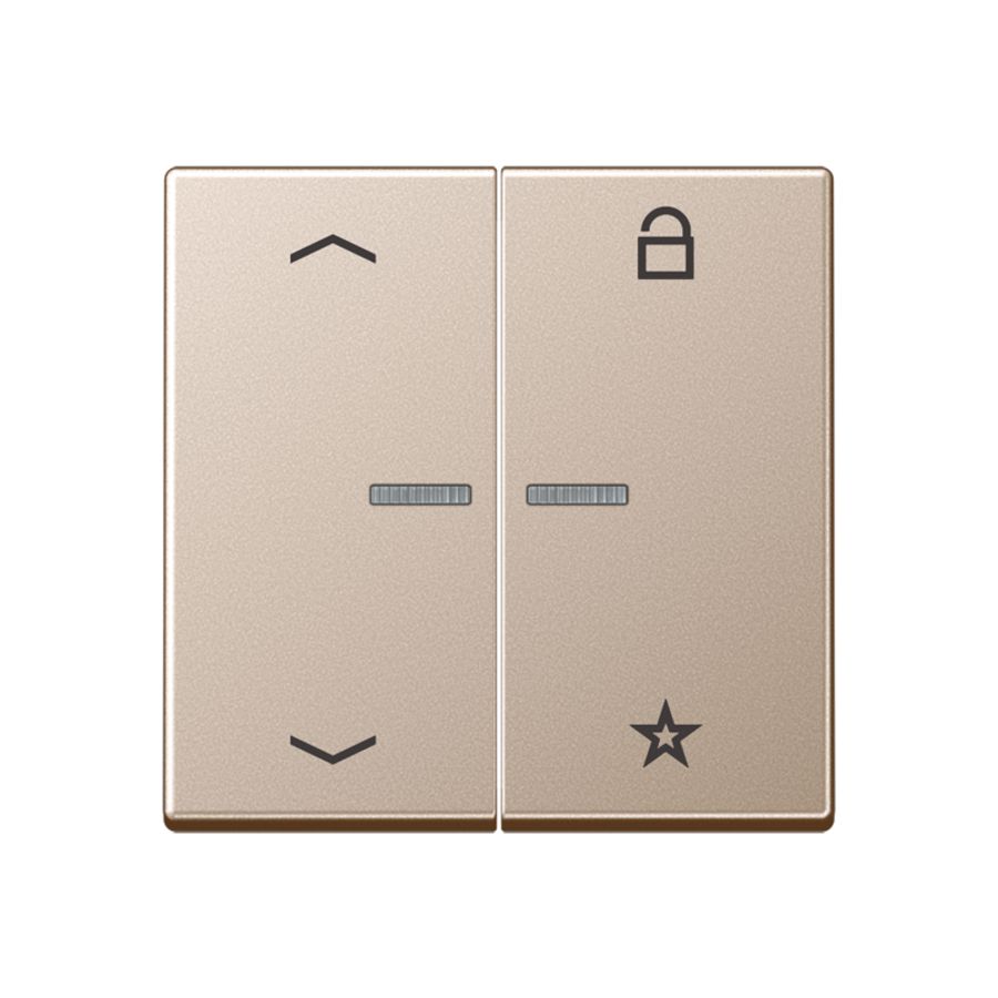 Tastafdeking pijlen A500 champagne eNet