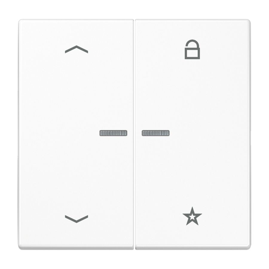 Tastafdekking pijlen LS990 alp.wit eNet