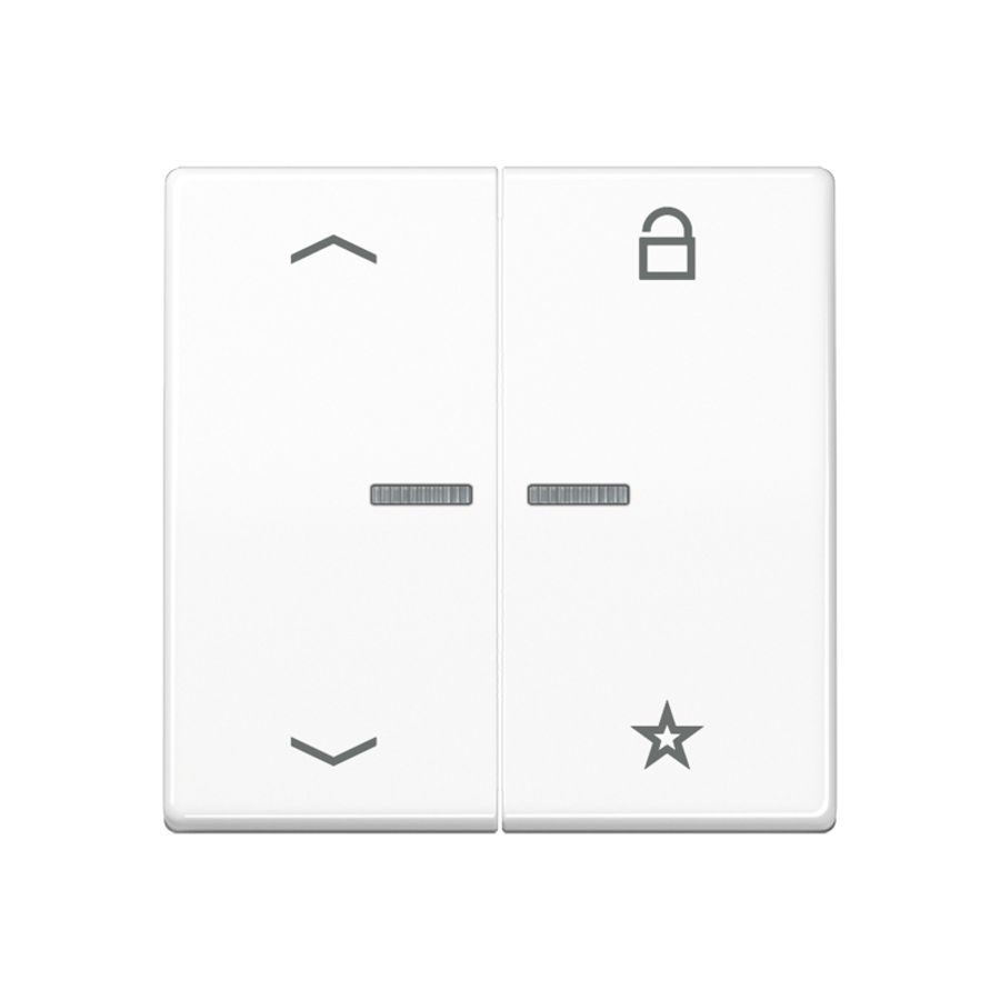 Tastafdekking pijlenAS500 alp.wit eNet