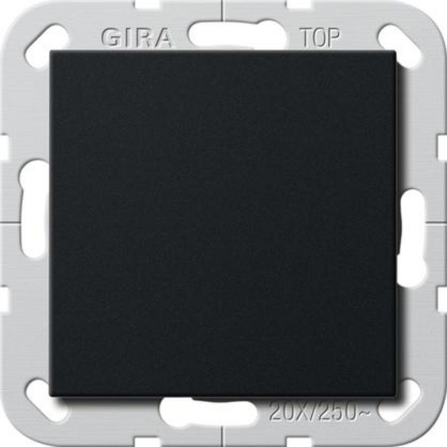 Wipschakelaar BS 20AX uit 2-p System 55 zwart m