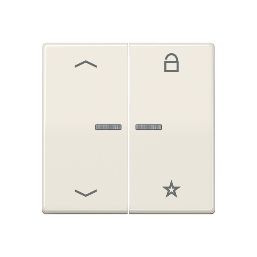 Tastafdekking pijlen AS500 wit eNet