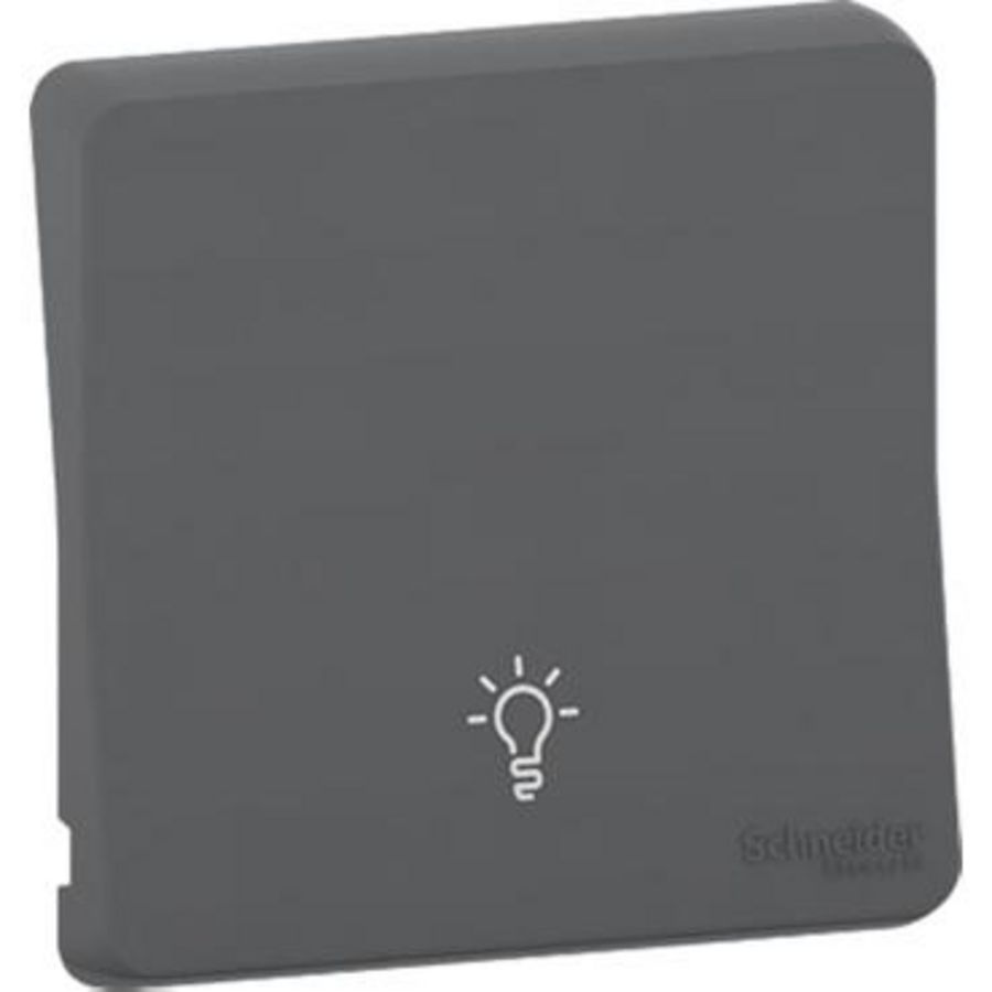 Inzetstuk Enkele wip Symbool lamp IP55 Grijs / A Mureva Styl