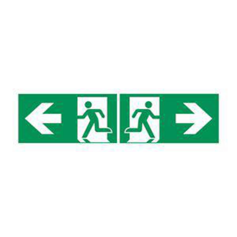 Pictogramplaat GuideL DXC plaf. 30m ISO A+Bpijl rechts+links