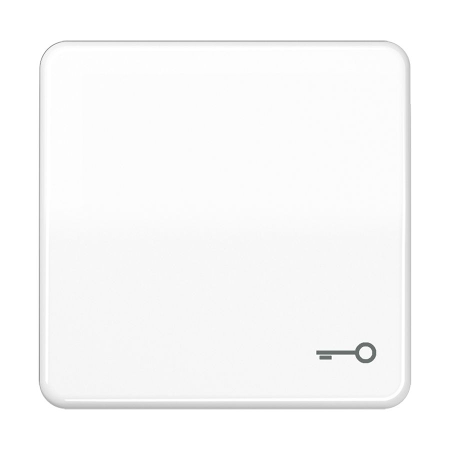 Schakelwip CD500 a.wit met symbool Sleutel