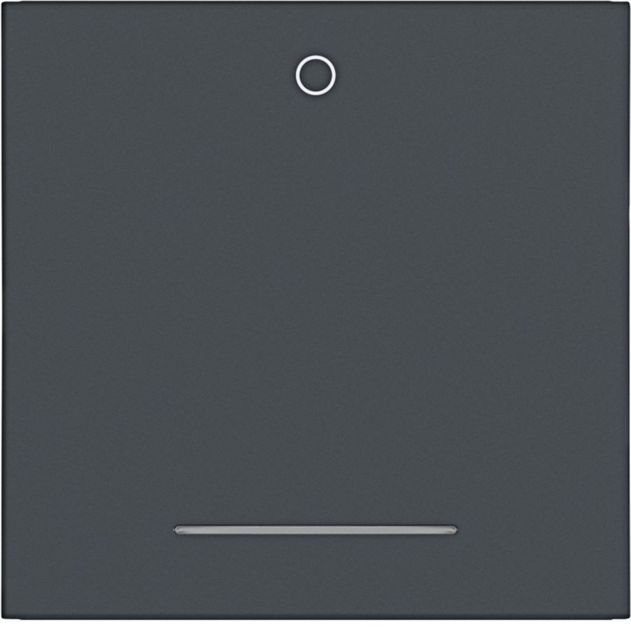 Wip 1-voudig met opdruk "0" heldere lens A.x/C.x antraciet
