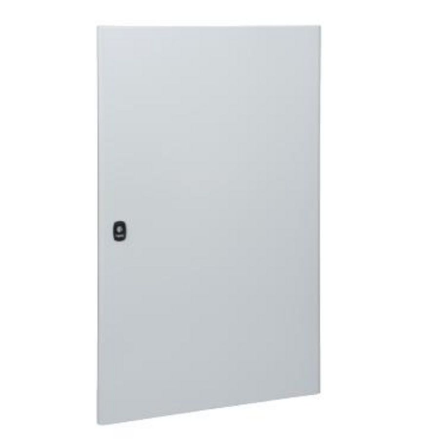 Door for wall mounting enclosure Spacial S3HD 1000x600 mm