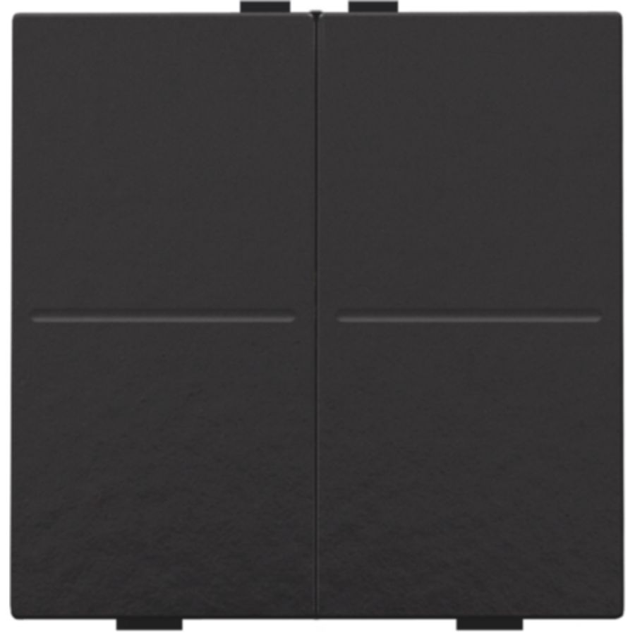 2-voudige toets RF schakelaar/drukknop pianoblack