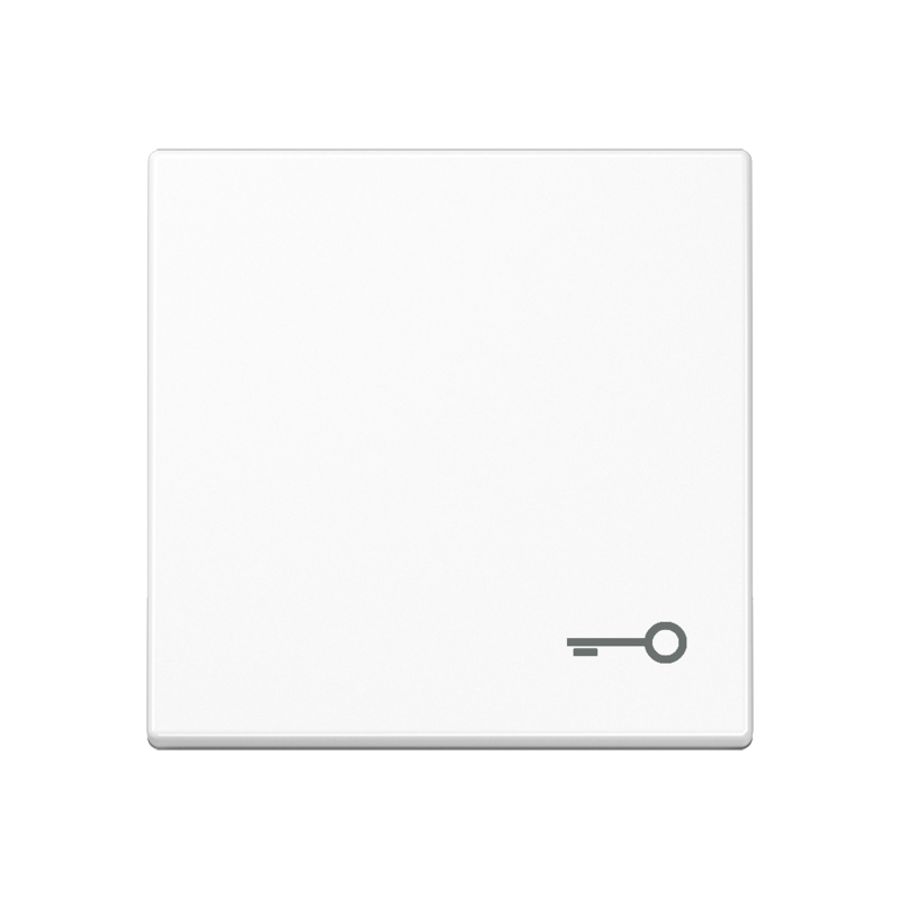 Schakelwip A500 alp.wit symbool sleutel