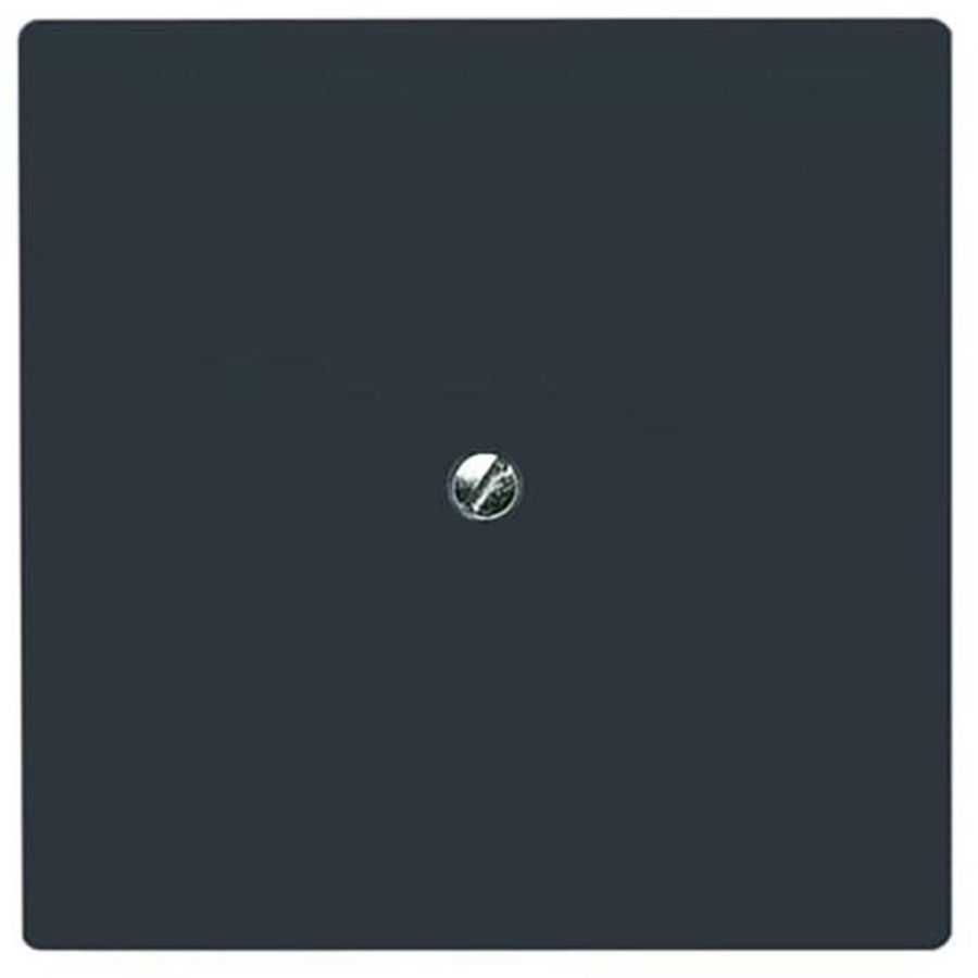 Centraalplaat blinde inb draag met draagraam IP44 A-w antr (2138-35)