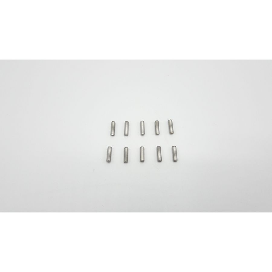Paspen Branderflens (10x)