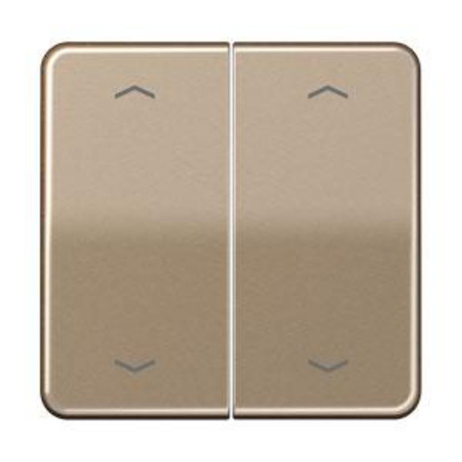 Schakelwip CD500 goudbrons .pijlsymboolv.BA-tast. VVE=10