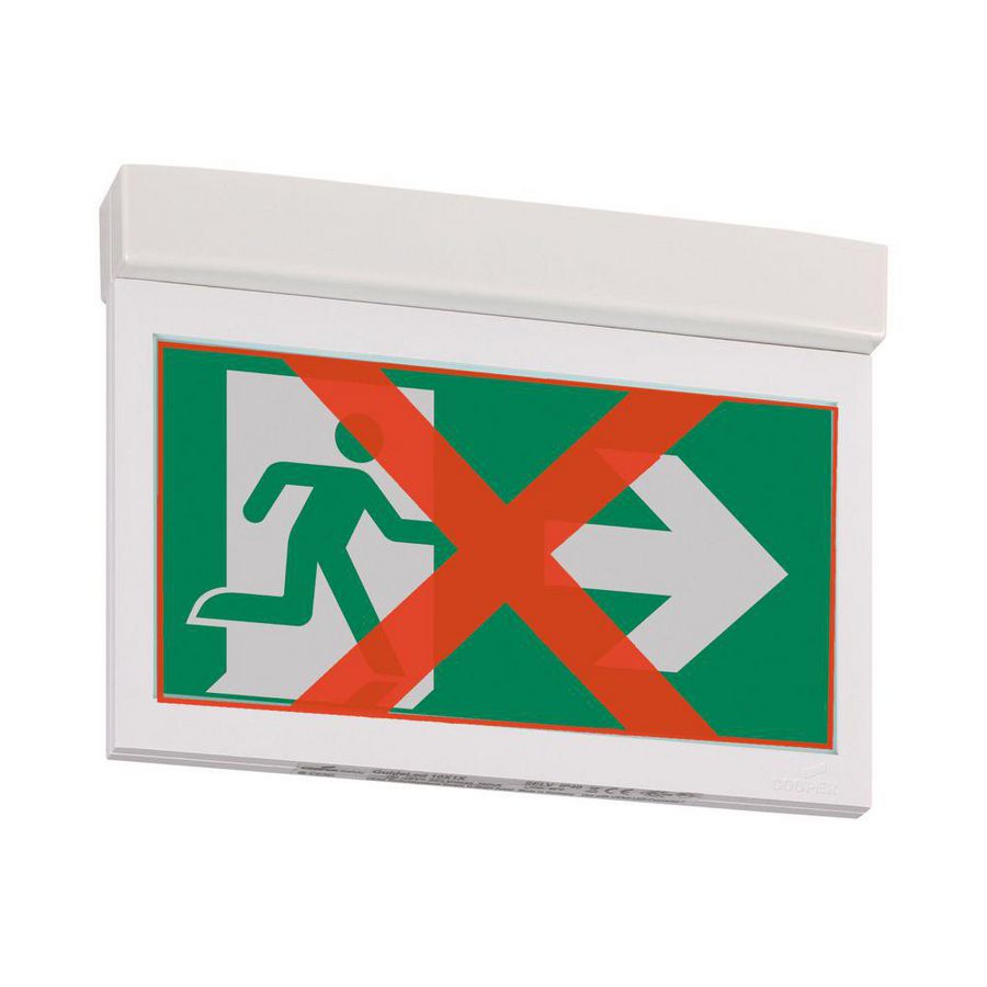 Noodverlichting plafond opbouw centraal adaptieve evacuatie DX 20m