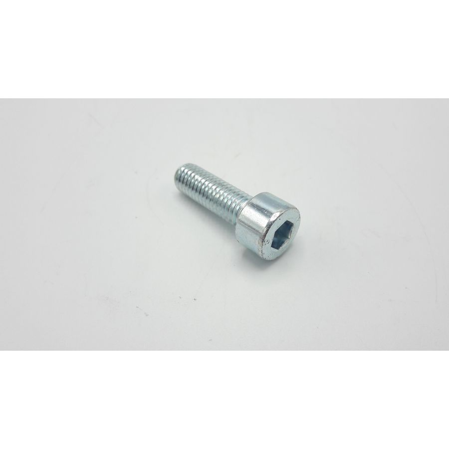 Bout M8x25 300028536