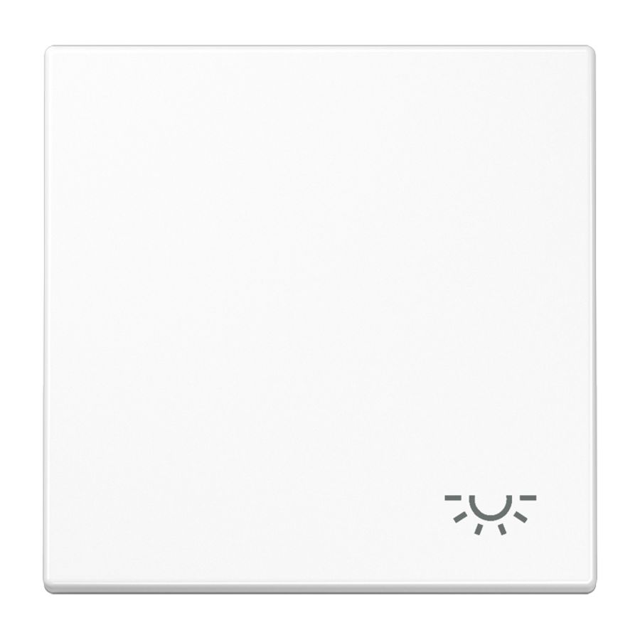 Schakelwip LS990 alp.w.m.symbool licht