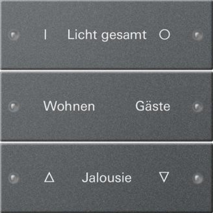 Wippenset 3-voudig beschr. System 55 antracit(gel.)