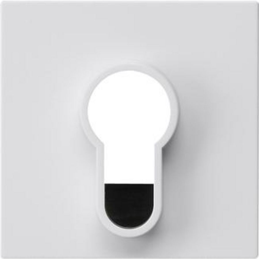 Afdekking sleutelschakelaar /-drukcontact z/opdr. System 55 zuiver wit