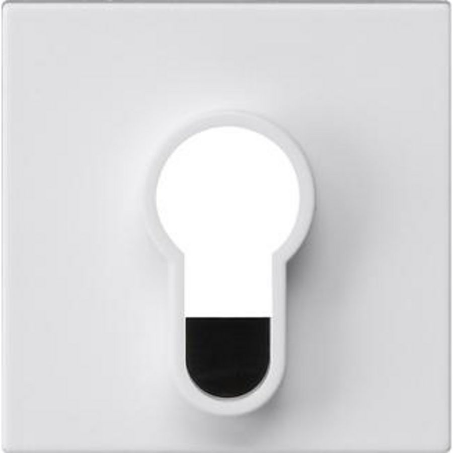 Afdekking sleutelschakelaar /-drukcontact z/opdr. System 55 zuiver wit m