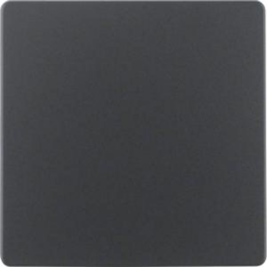 Centraalplaat voor sensorelement antraciet mat