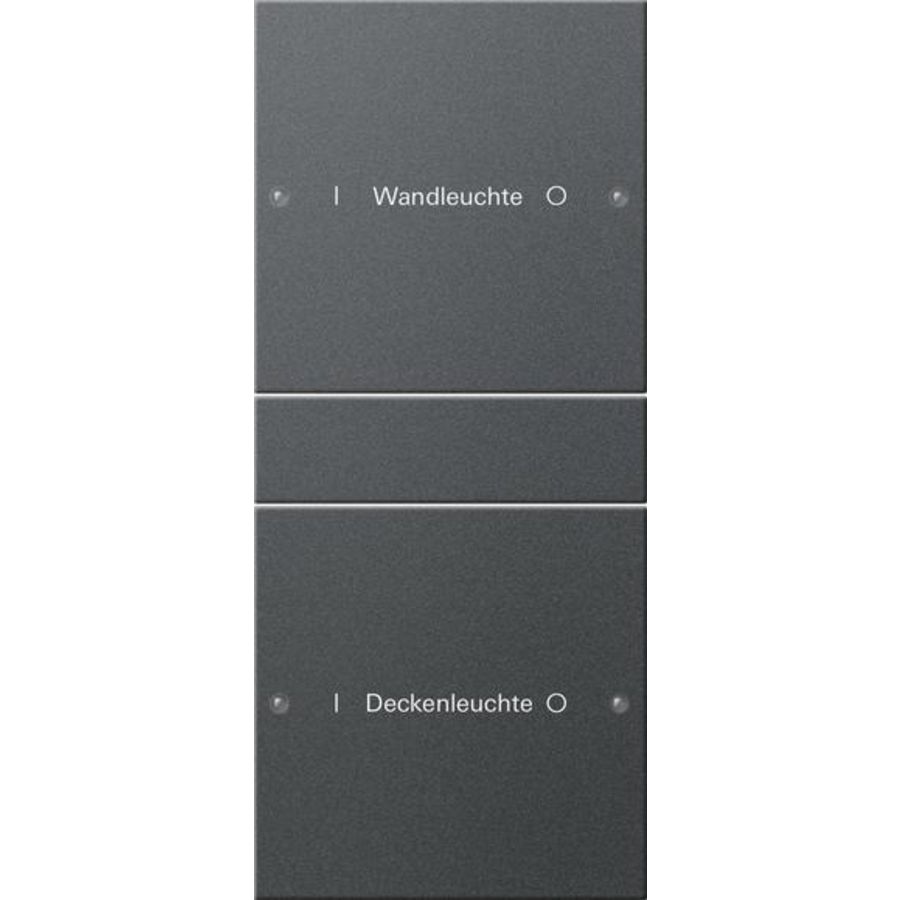 Wippenset 2-voudig (1+1) beschr. System 55 antracit(gel.)