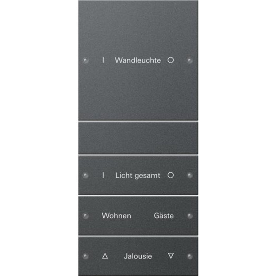 Wippenset 4-voudig (1+3) beschr. System 55 antracit(gel.)