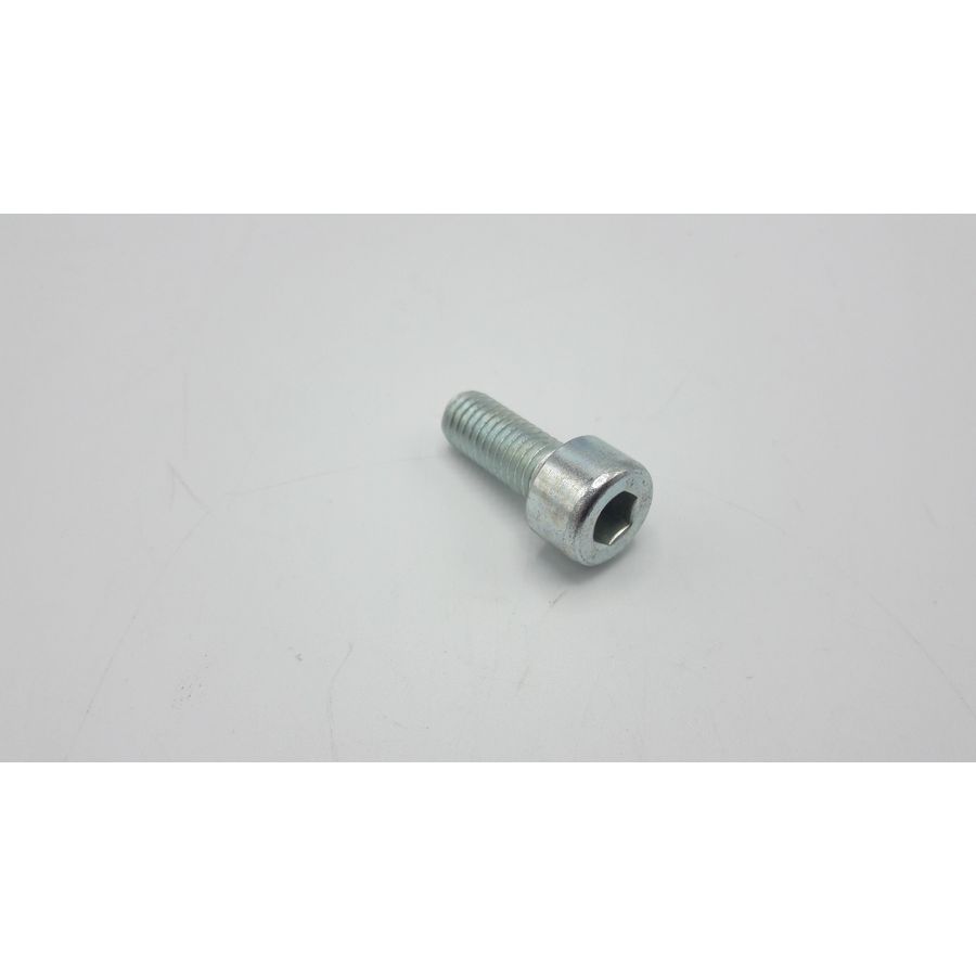 Bout M8x20 300028534