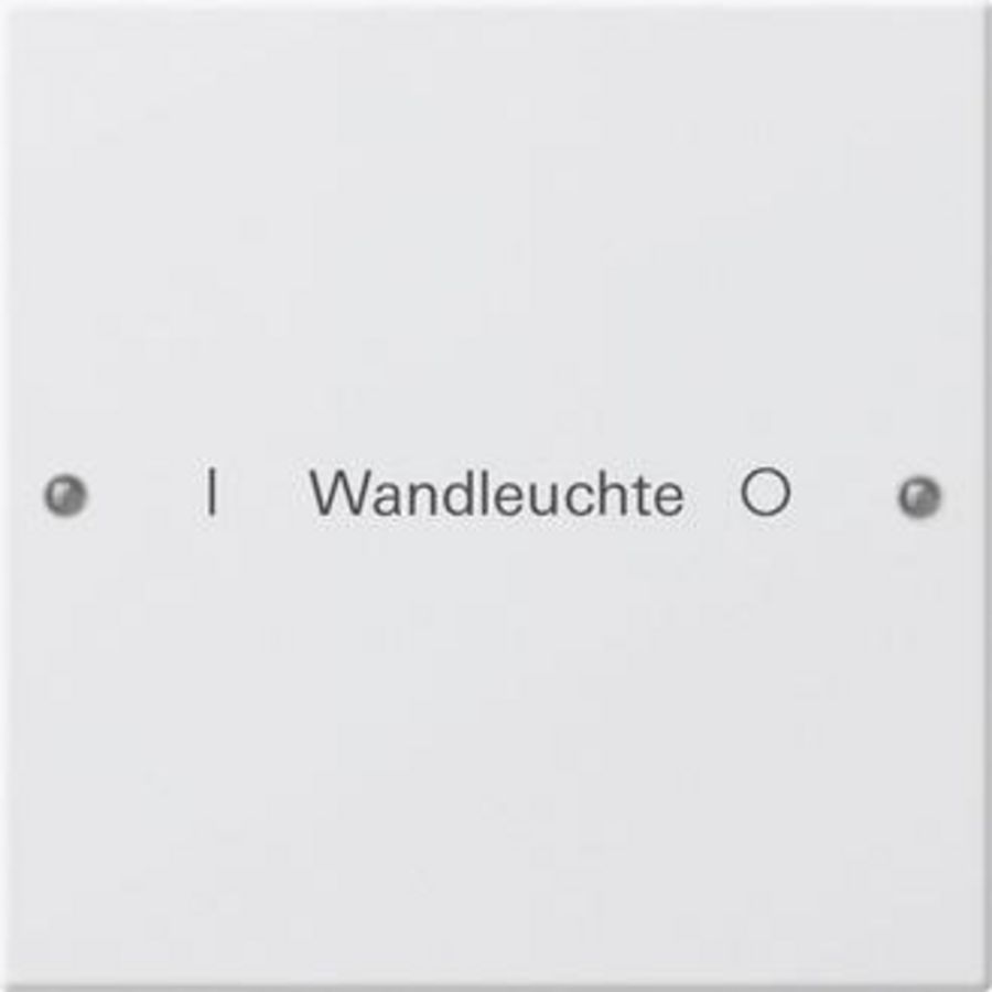 Wippenset 1-voudig beschr. System 55 zuiver wit m(gel.)