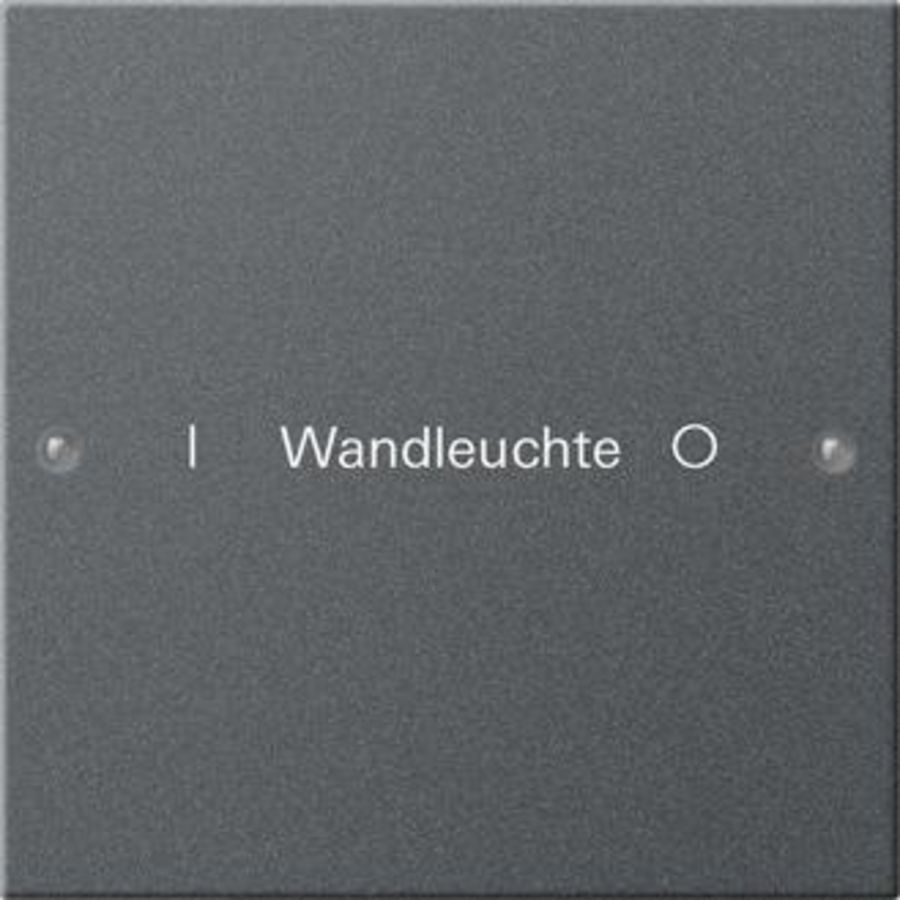Wippenset 1-voudig beschr. System 55 antracit(gel.)