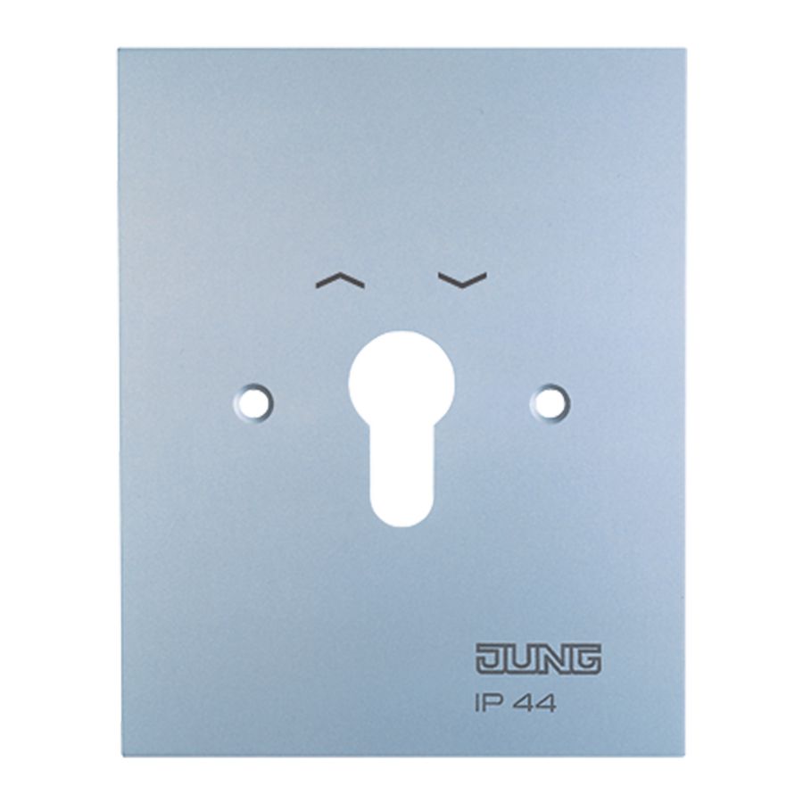 Centraalplaat afdekraam 125x100mm met pijlsymbool