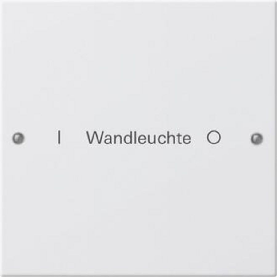 Wippenset 1-voudig beschr. System 55 zuiver wit(gel.)