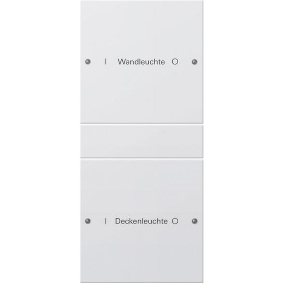 Wippenset 2-voudig (1+1) beschr. System 55 zuiver wit m(gel.)