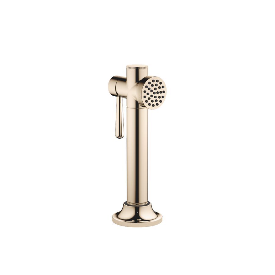 VAIA Spoeldouche-garnituur Champagne (22kt Goud)