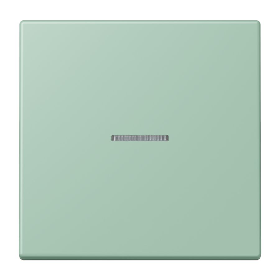 Stuurafdekking 1-voudigoudig LC32041 HOME
