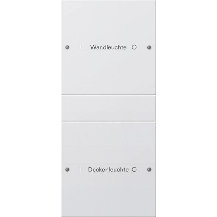Wippenset 2-voudig (1+1) beschr. System 55 zuiver wit(gel.)
