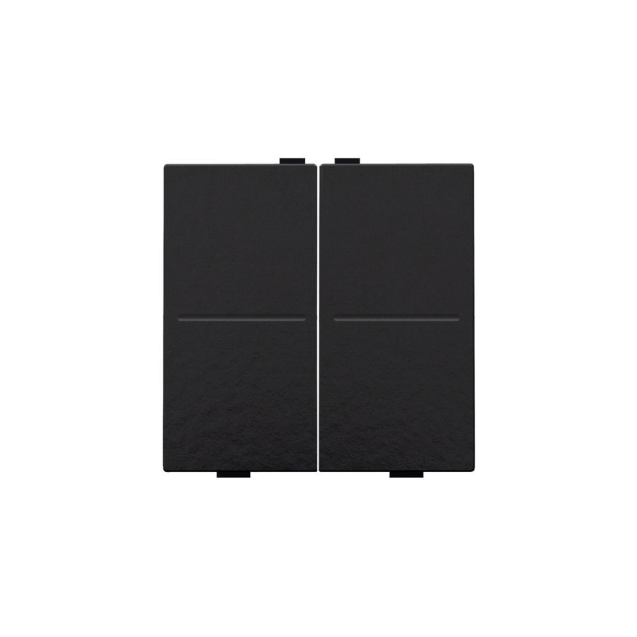 2-voudige toets RF schakelaar/drukknop pianoblack