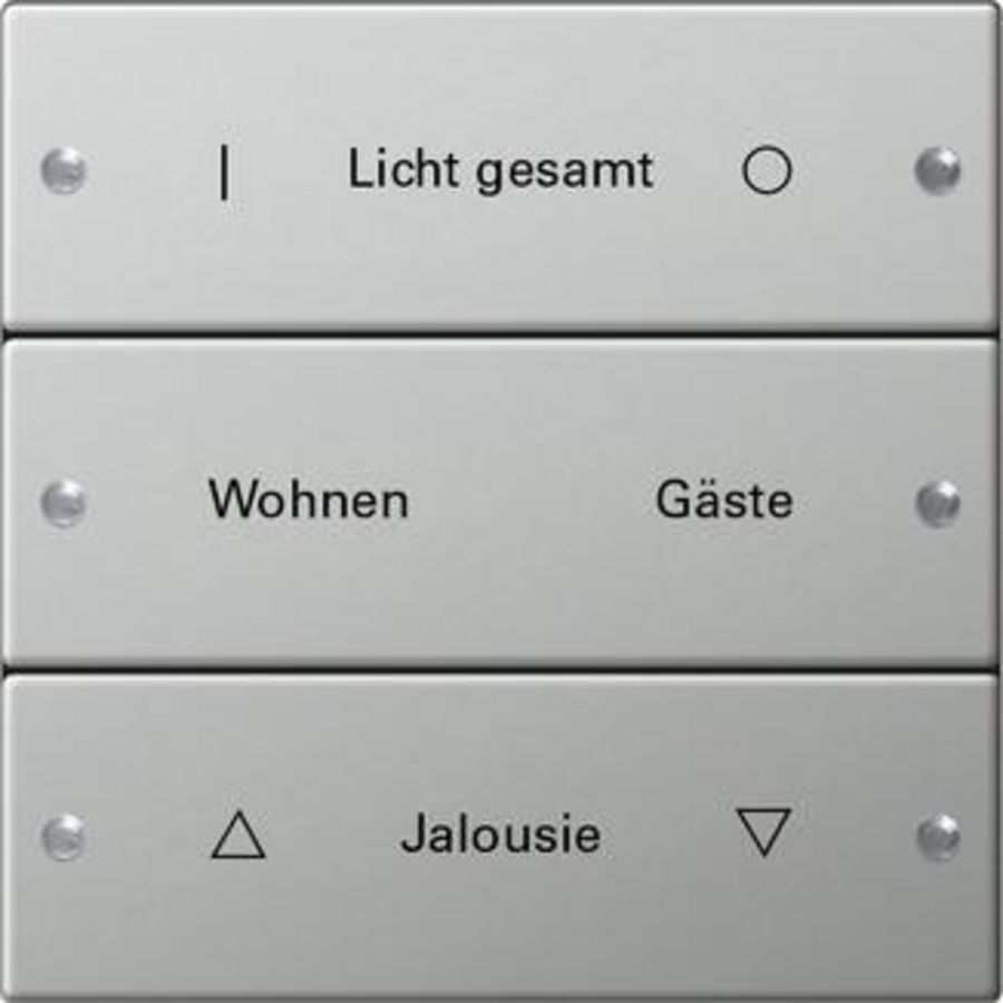 Wippenset 3-voudig beschr. System 55 edelstaal
