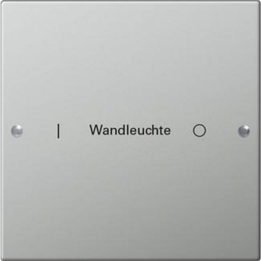 Wippenset 1-voudig beschr. System 55 edelstaal