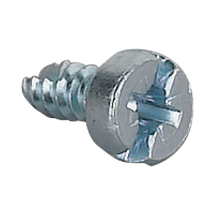 Lenskopschroeven kruisgleuf zelftap VVE=100