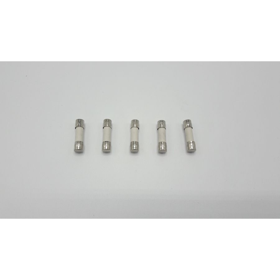 Set a 5st. Glaszekering 1,6A S100664