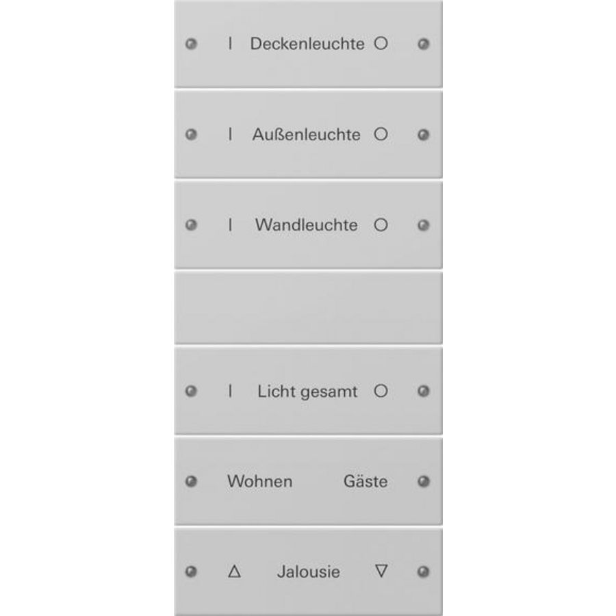 Wippenset 6-v (3+3) besch. System 55 gris m(gel.)