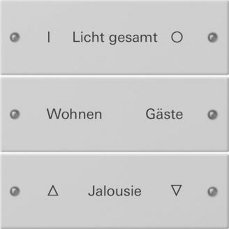Wippenset 3-voudig beschr. System 55 gris m(gel.)