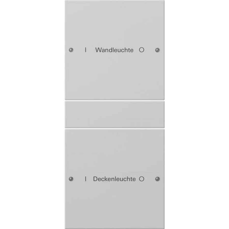 Wippenset 2-voudig (1+1) beschr. System 55 gris m(gel.)