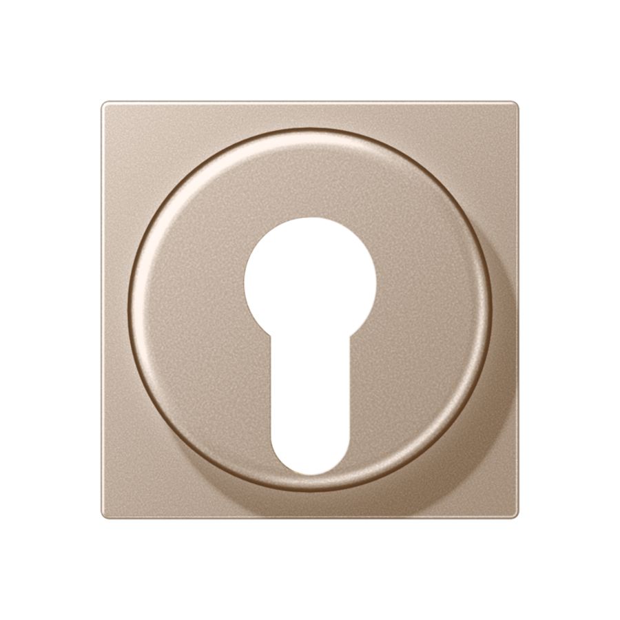 Afdekking sleutelschak. A500 champagne